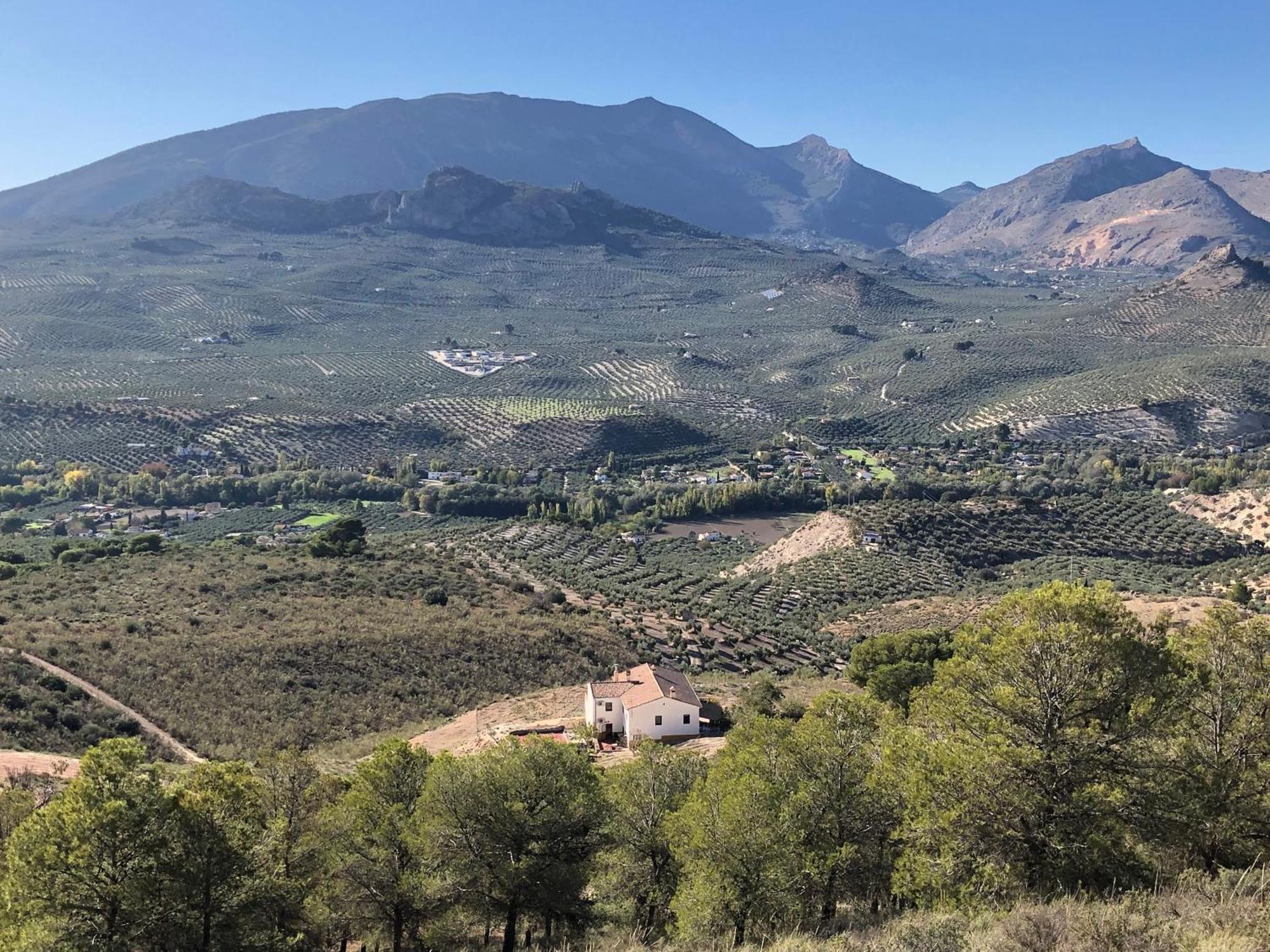Casa Dehesa San Cristobal, Jaen别墅 外观 照片